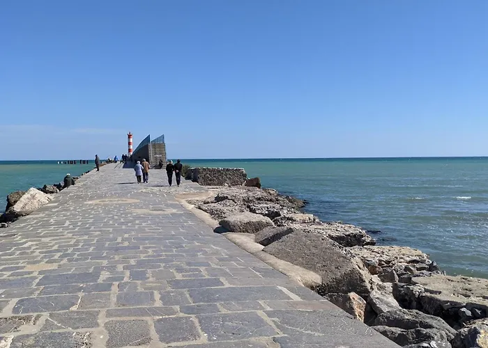 T2 Climatisee, 5 Pers, Proche Plage, Cour, Jardin, Barbecue, Parking, 2* Meubles Tourisme - Fr-1-797-57 Villa *